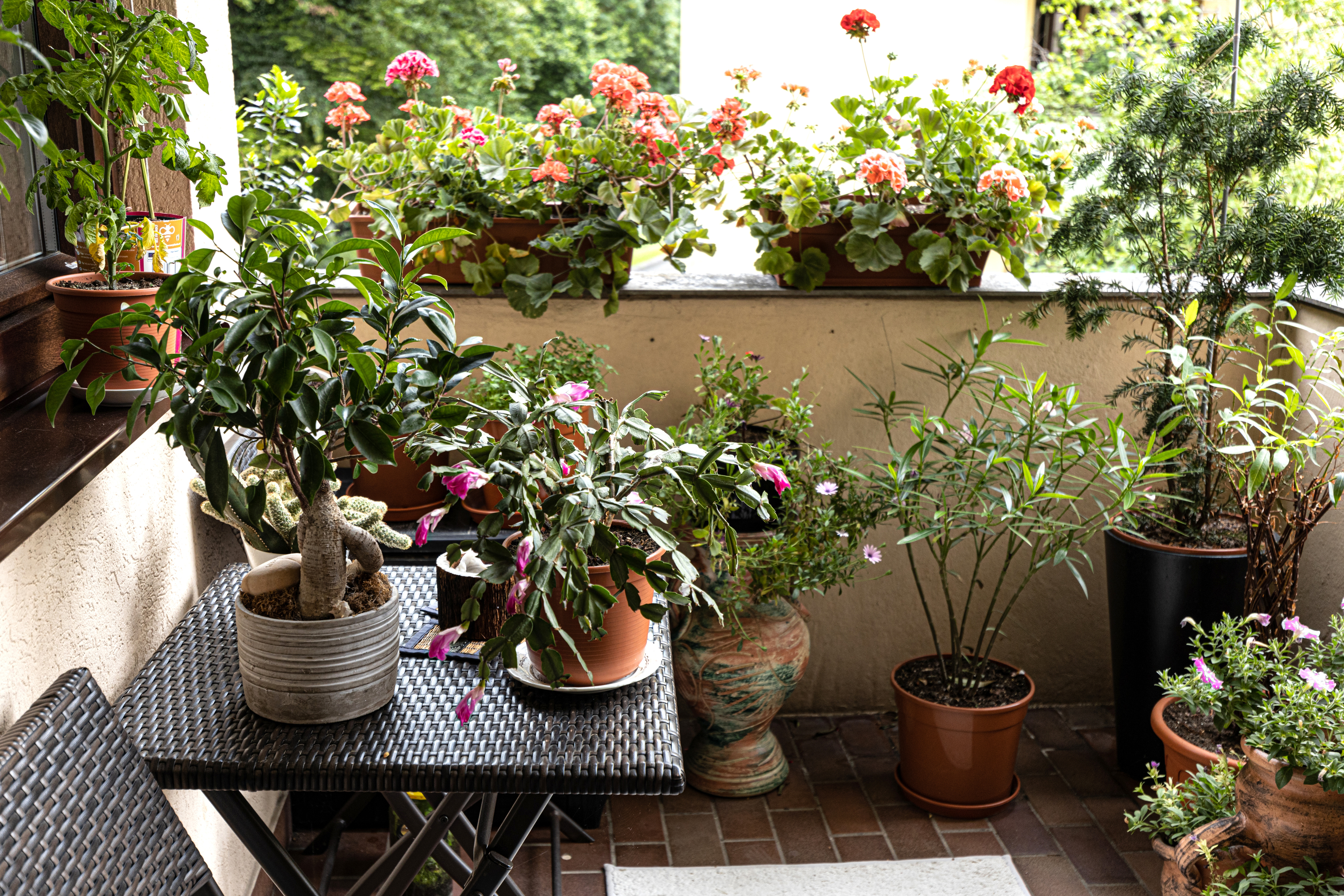 Well-kept balcony, lined with many pots of plants Well-kept balcony, lined with many pots of plants